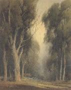 unknow artist Eucalyptus Trees,Burlingame France oil painting artist
